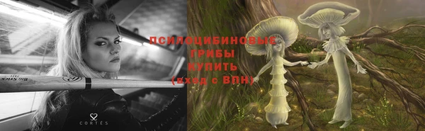 jwh Аркадак