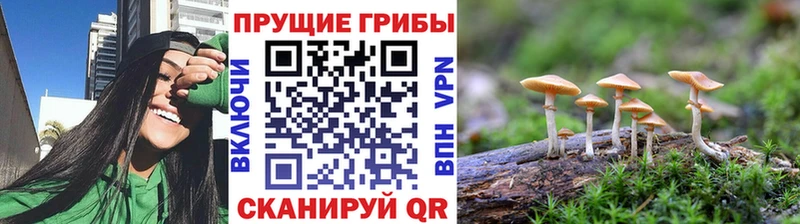 Галлюциногенные грибы Magic Shrooms  Купить где  Каменск-Шахтинский 